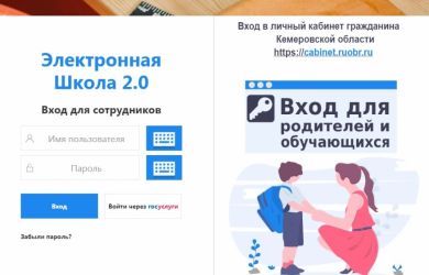 Платный «цирк» с электронными дневниками — очередная кормушка для жадных чиновников