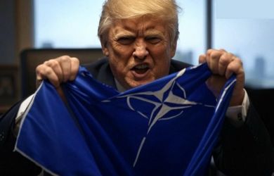 Трамп «сожжёт» мосты с альянсом НАТО если захватит Гренландию: сенатор США