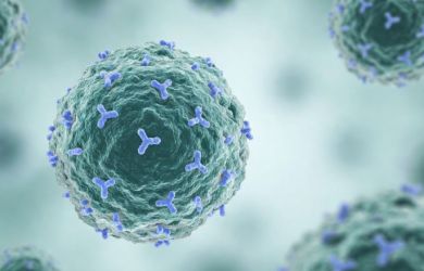 «Иммунные миротворцы»: почему терапия Treg-клетками признана прорывом века