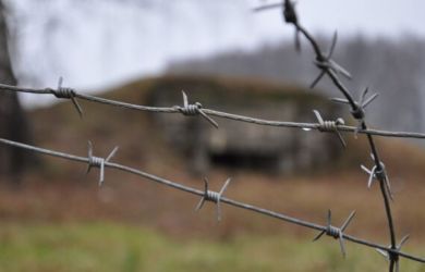 «Гнилые до мозга костей»: в Новосибирске задержали юных вымогателей, обманувших семью героя СВО