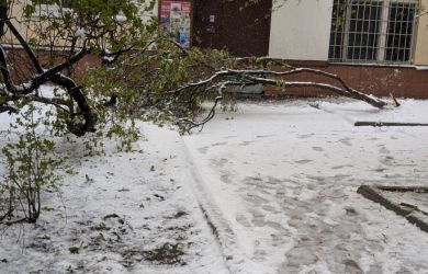 Катастрофа. Апрельский снегопад накрыл Москву... Погибшие, деревья давят машины, мост перекрыли