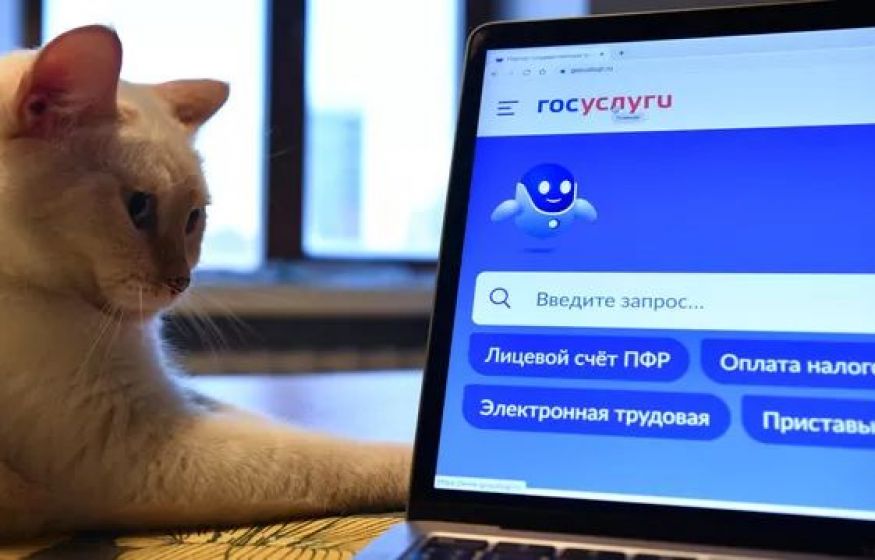 В детский сад надо записываться еще в роддоме. Депутат Госдумы дал совет россиянам