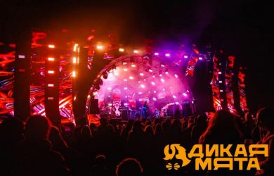 Дикая Мята 2026: главный независимый open-air лета стартует 19 июня