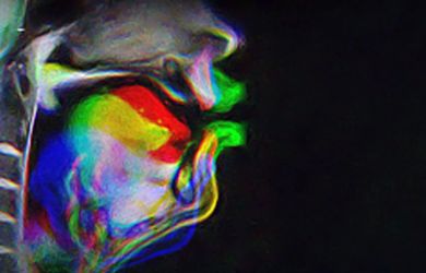 Как мозг на самом деле учится говорить