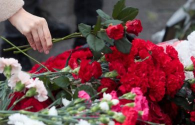 Киев убивает спящих детей. Три сотни дронов, десятки раненых, восемь погибших