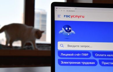 «Почему вы не рожаете?»: «Госуслуги» начали массовый опрос россиянок о детях и требуют объяснений