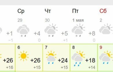 Резкое потепление в Москве до +22 °C после недели снегопадов — погода переключилась на «летний» режим?